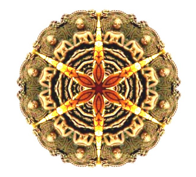 &quot;Phật ngự 2&quot; của Long Độ