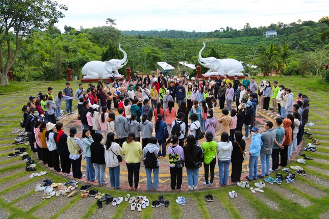 Sinh hoạt vòng tròn