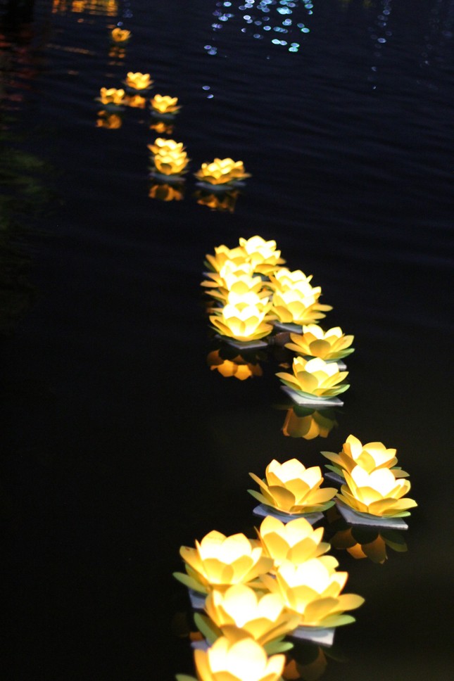 Lung linh ánh sáng nhiệm mầu Lung linh ánh sáng nhiệm mầu