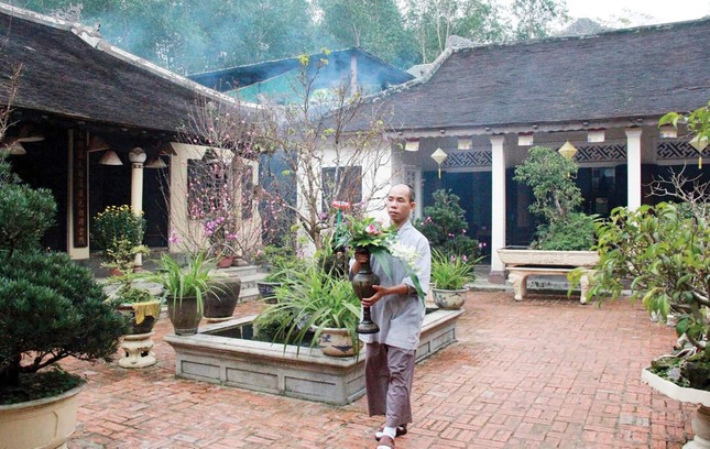 Ảnh: Quảng Điền Ảnh: Quảng Điền