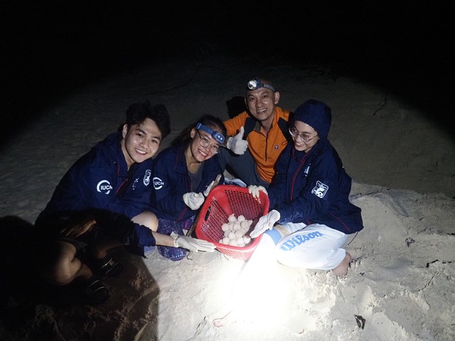 Tình nguyện viên sẽ hỗ trợ bảo vệ trứng và tăng tỷ lệ nở của trứng rùa Tình nguyện viên sẽ hỗ trợ bảo vệ trứng và tăng tỷ lệ nở của trứng rùa