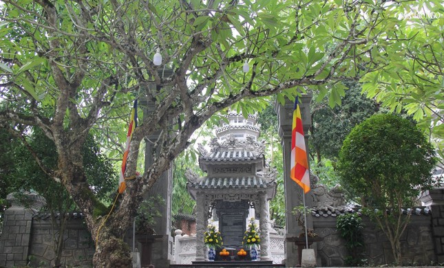 Bảo tháp cố Trưởng lão Hòa thượng trong khuôn viên tổ đình Tường Vân Bảo tháp cố Trưởng lão Hòa thượng trong khuôn viên tổ đình Tường Vân