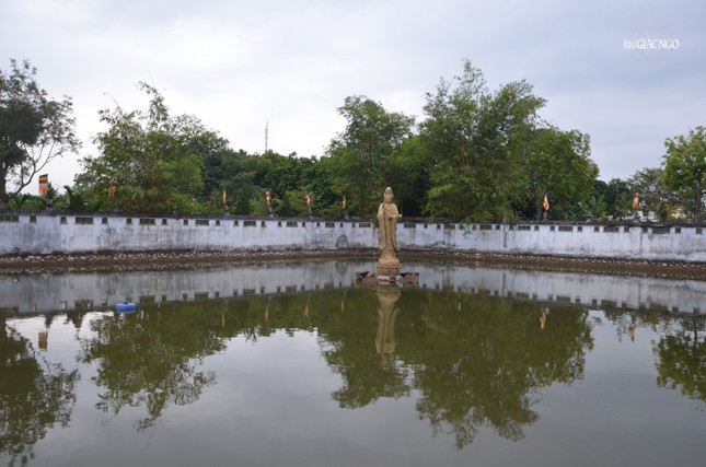 Quán Âm ngự tọa đài sen/ Dịu dàng ánh mắt nhìn xem cuộc đời