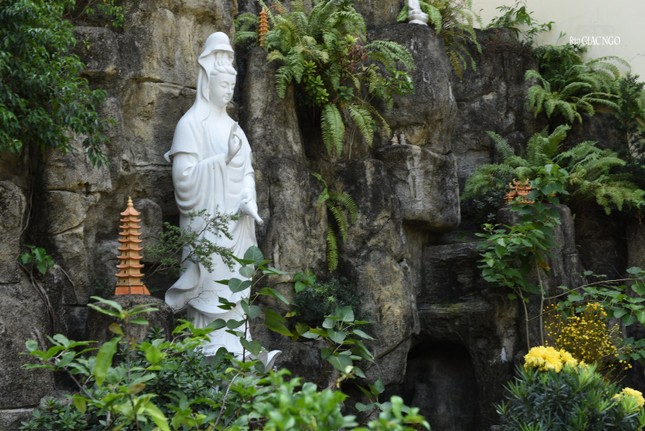 Lắng nghe giọt nước cành dương/ Tịnh bình ban rải tình thương muôn trùng