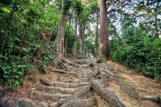 Trong chuyến hành hương bằng đường núi ở non thiêng Yên Tử, du khách đi qua am Lò Rèn khoảng 200 mét sẽ gặp lối rẽ vào đường từng. Con đường này dài hơn 100 mét, nằm song song với trục đường chính của khu khu di tích