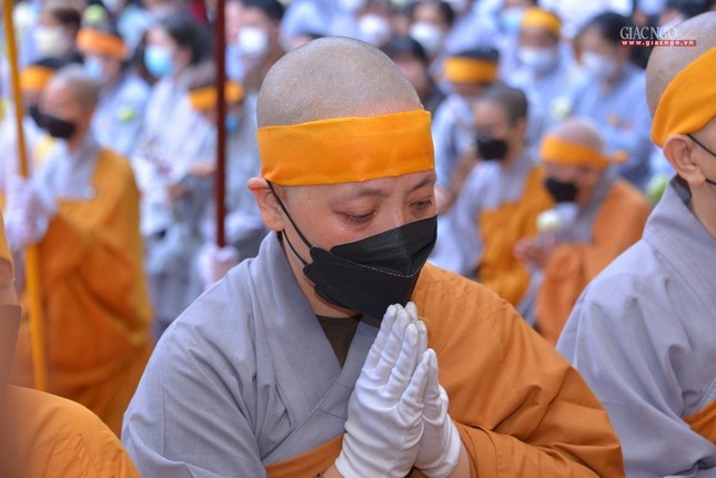 Thầy đi là hết trăng mờ sao băng