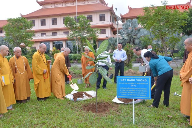 Cây bàng vuông được trồng trước tòa hành chánh của Học viện