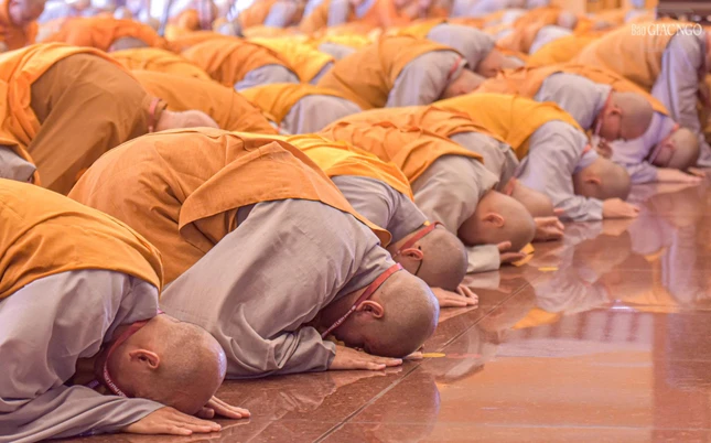 Giới tử chí thành đảnh lễ và phát nguyện y giáo phụng hành
