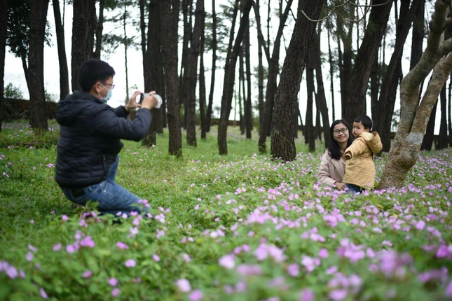 Tết là thời điểm quây quần bên gia đình