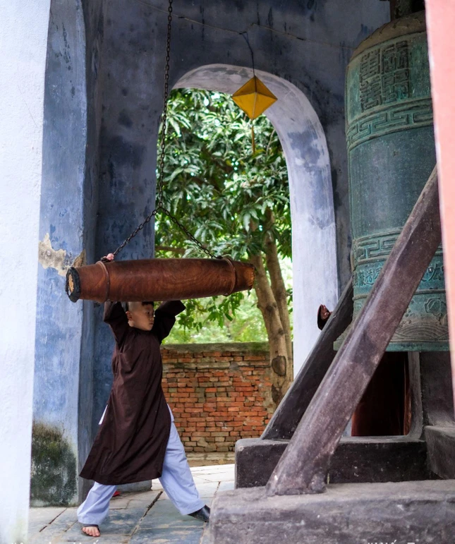 Một chú tiểu nhỏ chùa Diệu Đế đang “cố gắng” gióng lên hồi chuông bình an vào ngày mùng 1 Tết Nguyên đán - Ảnh Hiếu Trương