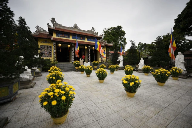 Sắc xuân xứ Huế ở ngôi cổ tự Kim Tiên. Tổ đình là nơi từng được chọn làm phủ của công chúa Ngọc Hân – Bắc Cung Hoàng hậu của vua Quang Trung. Trải qua bao thăng trầm, ngôi chùa này vẫn được người dân xứ Huế chọn làm điểm lễ bái vào đầu năm