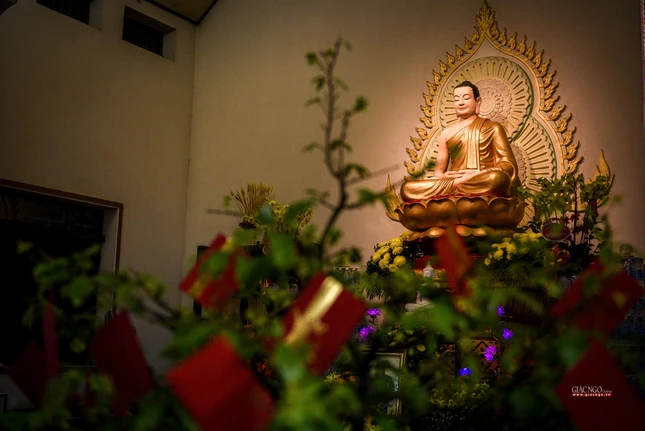 Sau khi chiêm bái xá-lợi, Phật tử tiến hành hái hoa chánh pháp, luận đạo và tụng kinh cho đến 5g30 sáng hôm sau mới kết thúc đêm Đầu đà