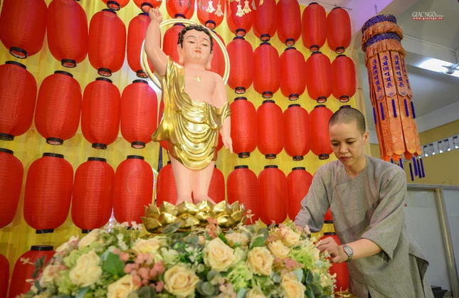 Vui thay chư Phật ra đời