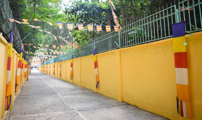 Cờ Phật giáo được trang trí rực rỡ 2 bên đường vào chùa Giác Huệ