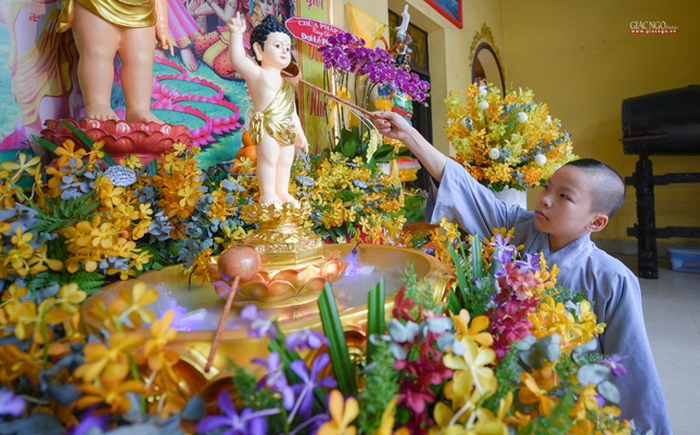 Một chú tiểu nhỏ chùa Thiên Trúc (quận 7) đang thực hiện nghi thức tắm Phật truyền thống