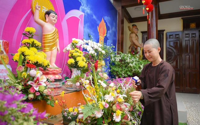 Tiểu ni Vạn Phú, chùa Tam Bửu đang tưới nước những giỏ hoa trang trí trước lễ đài Phật đản của chùa. Việc này giúp những đóa hoa dâng lên Đức Thế Tôn luôn được tươi mới trong tuần lễ này
