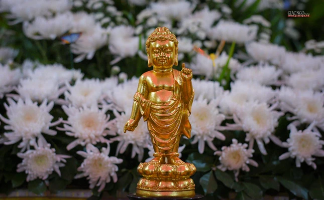 Đầu cúi lạy, đấng Từ-tôn xuất hiện/ Đến Ta-bà để ứng hóa, độ sanh (tôn tượng Phật đản sanh ở chùa Võ Linh, huyện Nhà Bè)