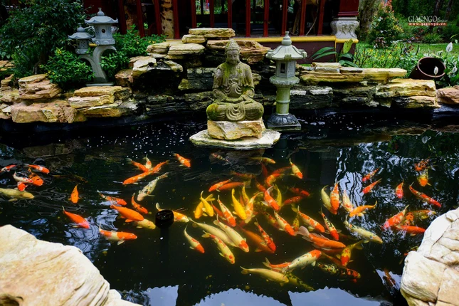 Một tiểu cảnh đầy chất thiền trong khuôn viên chùa Một tiểu cảnh đầy chất thiền trong khuôn viên chùa