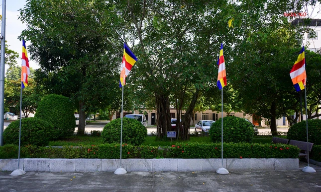 Sắc màu cờ Phật giáo trong khuôn viên Trung tâm hội nghị 25B, phường Ngọc Trạo, TP.Thanh Hóa Sắc màu cờ Phật giáo trong khuôn viên Trung tâm hội nghị 25B, phường Ngọc Trạo, TP.Thanh Hóa