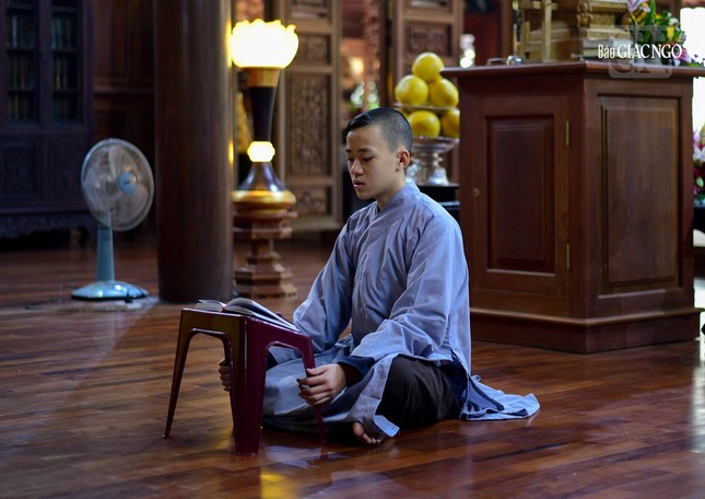 Một chú tiểu đang chăm chú tụng kinh