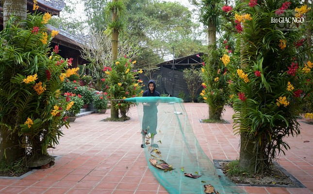 Chuẩn bị những bước cuối cùng để đón giao thừa