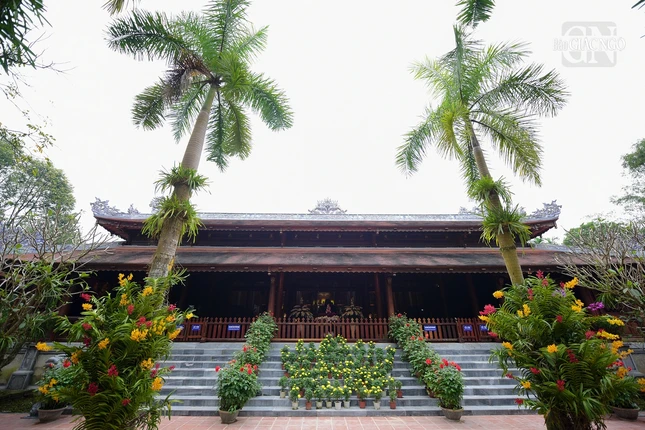 Tọa lạc bên bờ sông Đông Ba, gần cầu Gia Hội, chùa Diệu Đế là một trong ba ngôi quốc tự của triều Nguyễn còn ở cố đô Huế