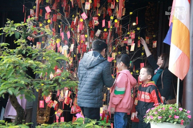 Hái lộc đầu xuân