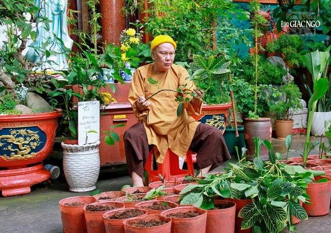 Xuân này cũng gần trăm tuổi, tôi chẳng dám so với ai nhưng có lẽ sống đến tận ngày hôm nay, trải qua bao biến cố đau thương, mất mát, rồi thăng trầm của đời sống tu hành trong xã hội mà vẫn còn có sức khỏe để tụng kinh, niệm Phật thì hạnh phúc nào bằng nữa