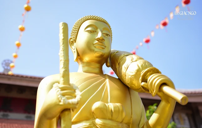 Phước báu này đến từ tiền thân tôn giả đã từng đảnh lễ, cúng dường nhiều phẩm vật, từ sữa đông, mật ngọt đến thức ăn, trân bảo…với nhiều vị Phật quá khứ, từ cổ Phật Tỳ-bà-thi, Thi-khí, Tỳ-xá-phù, Câu-lưu-tôn