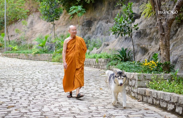 Trưởng lão Hòa thượng Viên Minh, Phó Pháp chủ GHPGVN đang đi dạo trong khuôn viên chùa