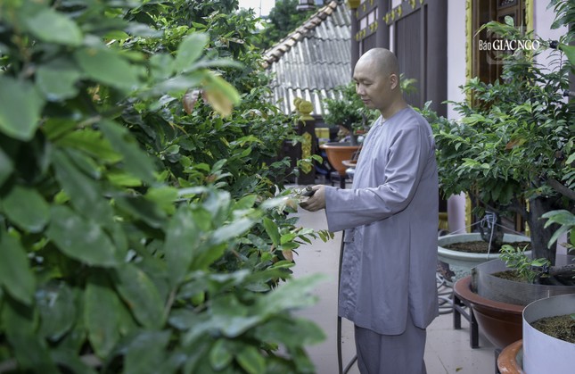 Việc này góp phần tạo thêm nhiều phước lành cho mỗi hành giả cũng như nâng cao sức khỏe của bản thân để hỗ trợ con đường tu học của mình