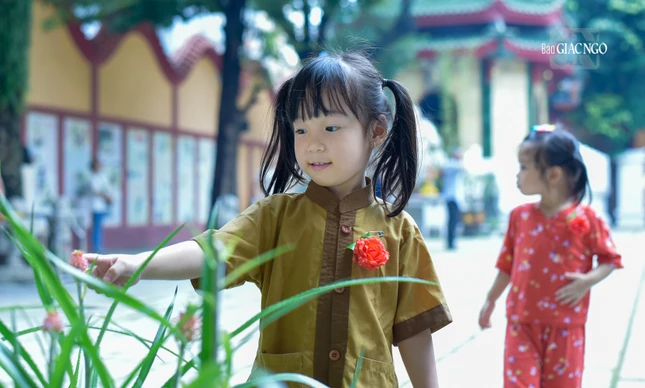 Hạt giống đó sau này có thể nảy nở thành một đóa hoa xinh đẹp, thiện lành