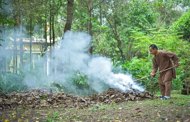 Hình ảnh một vị Tăng đốt lá khô sau khi thu gom