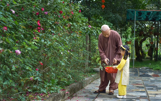 Đây là khoảng thời gian an tĩnh của Trưởng lão Hòa thượng trong những ngày cuối năm bận rộn với Phật sự