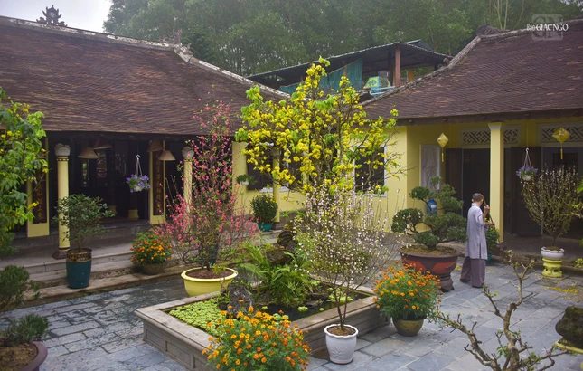 Một góc nhỏ chùa Bảo Lâm tràn ngập sắc hoa mai, đào, mận... những ngày cuối năm