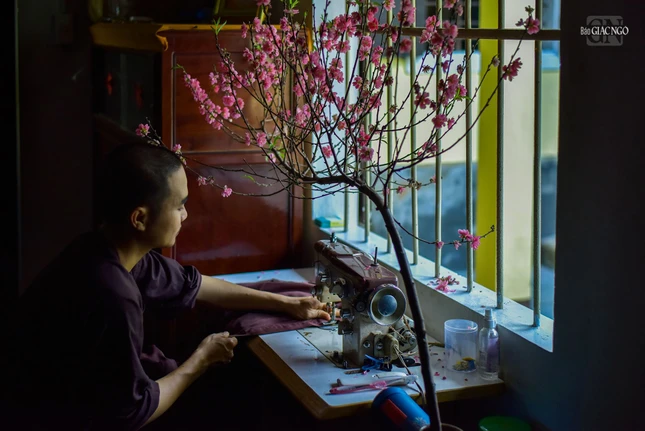 Sắc đào bên khung cửa sổ