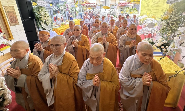 Phân ban Ni giới Q.4 Phân ban Ni giới Q.4