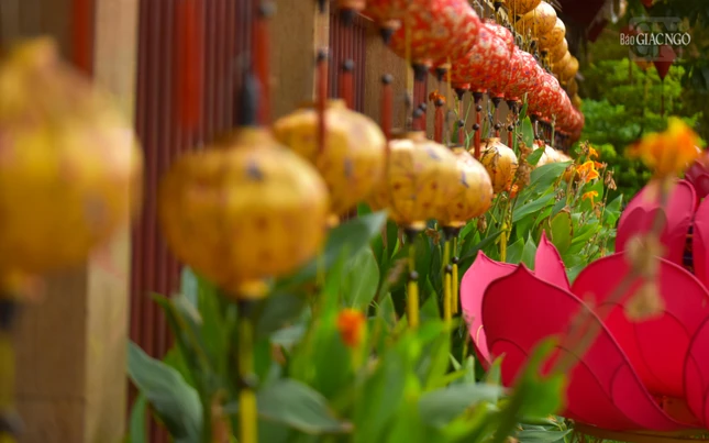 Lồng đèn sắc màu được treo dọc bờ tường của chùa Pháp Hoa