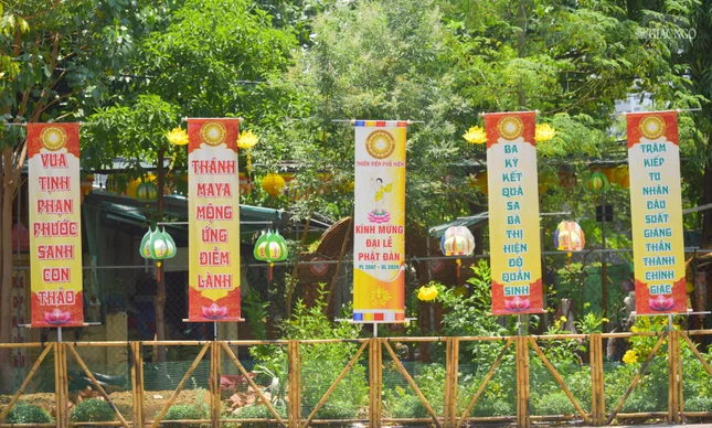 Thánh Maya mộng ứng điềm lành - Vua Tịnh Phạn phước sanh con thảo