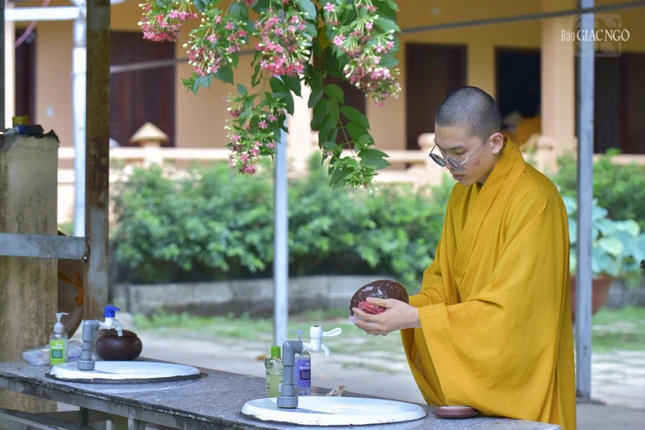 Rửa bát trong tích môn/ Ta nhìn ta mỉm cười/ Ta làm chi đó vậy/ Kìa nụ hồng đang tươi