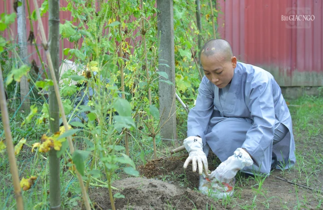 Tất cả theo tinh thần tự túc, tự cung, tự cấp