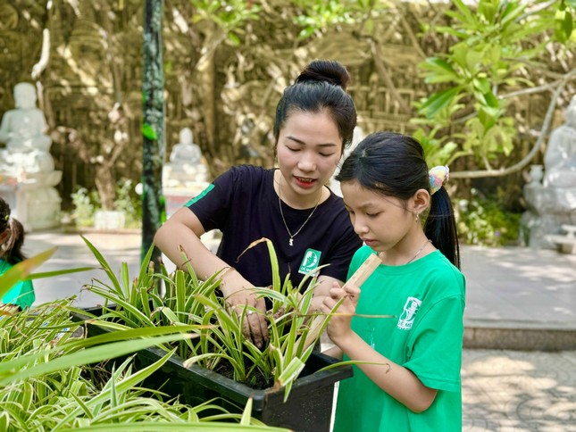 Cùng nhau trồng cây