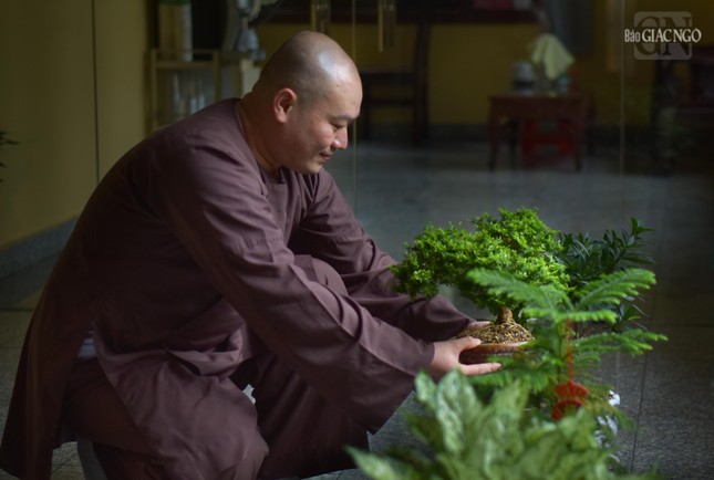 Niềm vui trong chấp tác