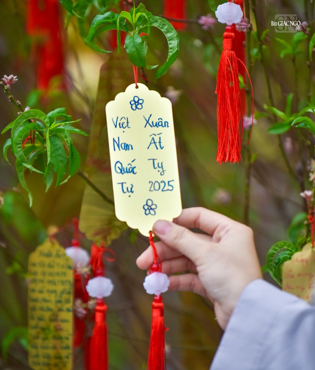 Xuân Ất Tỵ 2025 - Việt Nam Quốc Tự