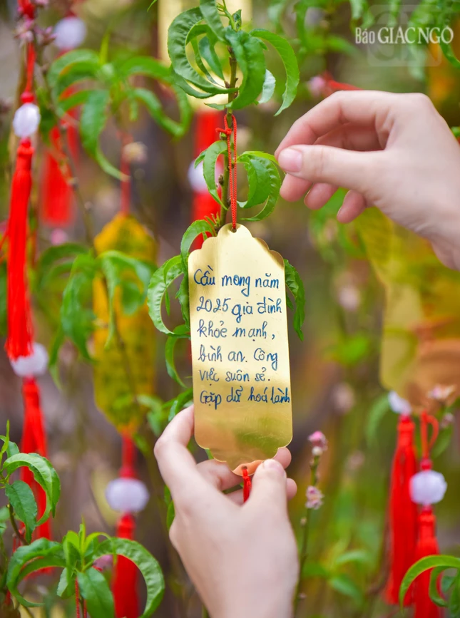 Tấm thẻ mang theo lời cầu nguyện của Phật tử được gắn trên những cây hoa trong khuôn viên Việt Nam Quốc Tự