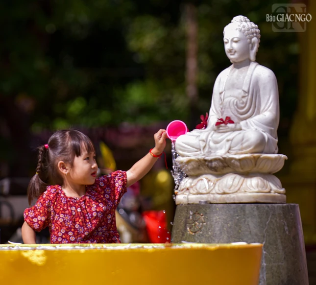 Một em bé đang dùng nước thơm để Tắm Phật
