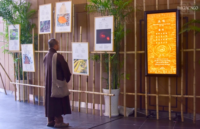 Bời bời vận nước quấn mây Trời Nam mở lượng đó đây thái bình Thiền tâm thấm tận triều đình Thì nhân gian dứt đao binh đời đời (Nguyễn Duy chuyển thể lục bát bài Quốc tộ (Vận nước) của Thiền sư Pháp Thuận, 915-990) Bời bời vận nước quấn mây Trời Nam mở lượng đó đây thái bình Thiền tâm thấm tận triều đình Thì nhân gian dứt đao binh đời đời (Nguyễn Duy chuyển thể lục bát bài Quốc tộ (Vận nước) của Thiền sư Pháp Thuận, 915-990)