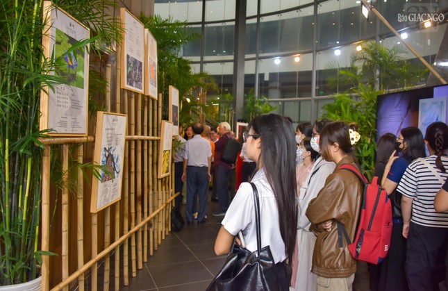 Các bạn sinh viên tham quan triển lãm