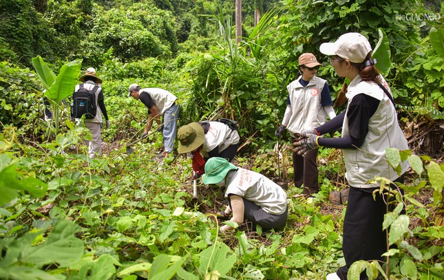 Có gần 80 bạn trẻ tham dự hoạt động ý nghĩa này Có gần 80 bạn trẻ tham dự hoạt động ý nghĩa này