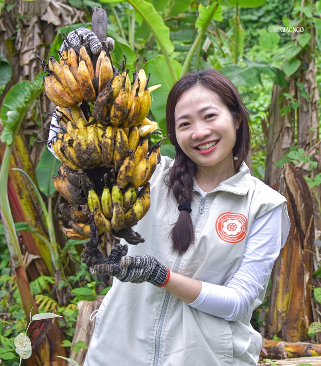 Món quà từ rừng xanh